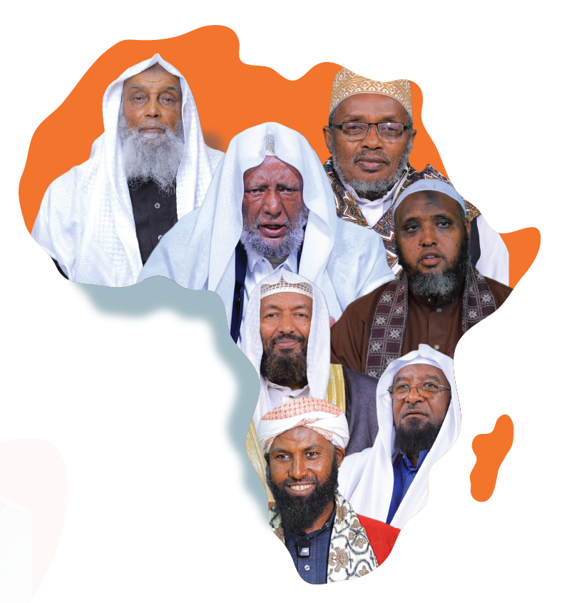 Barnoota Toora Intarneetaa Akaadaamii Afrikaa (Africa Academy Online Education)